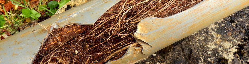 Emergency plumbing repair in Deakin by Canberra Plumbing & Drains.